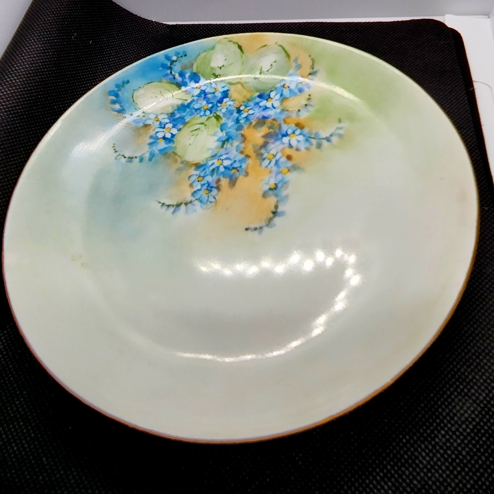 Vintage Hand Painted HR Bavaria Plate 6.5"